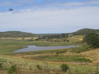 OCEAN
AND WET LAND VIEWS Picture