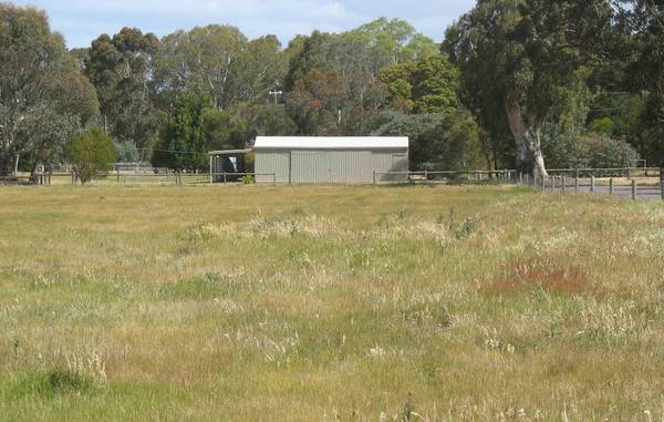 STUNNING DUNKELD TWO ACRE BLOCK Picture 2