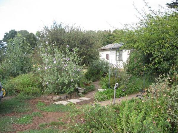 THREE BEDROOM HOME ON 11.5 ACRES CLOSE TO COBDEN Picture 1