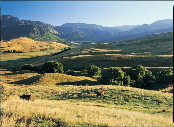 LOT 52 THREEPWOOD Picture 1