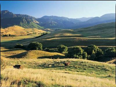 LOT 52 THREEPWOOD Picture