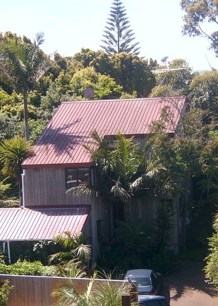 Private Bush Setting - Minutes to the sea Picture Private Bush Setting - Minutes to the sea Picture