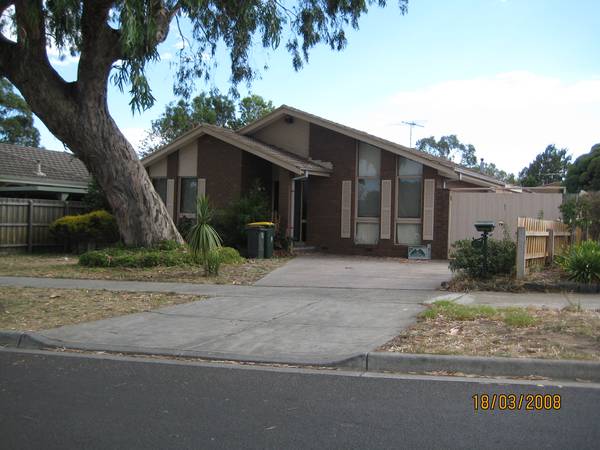 Walk to Everything Picture 1