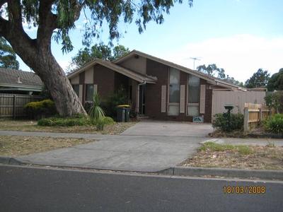 Walk to Everything Picture Walk to Everything Picture