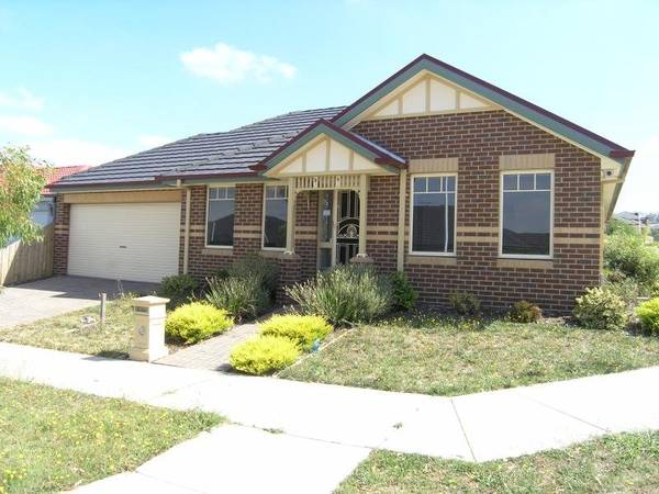 A Winner!! Picture 1