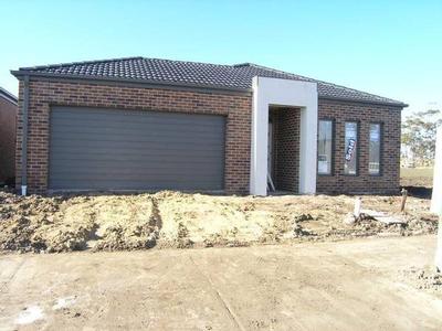 Back by popular demand Picture