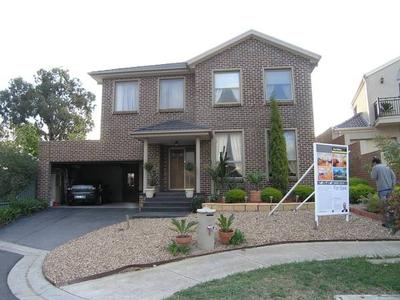 BIG, BOLD & BEAUTIFUL Picture BIG, BOLD & BEAUTIFUL Picture