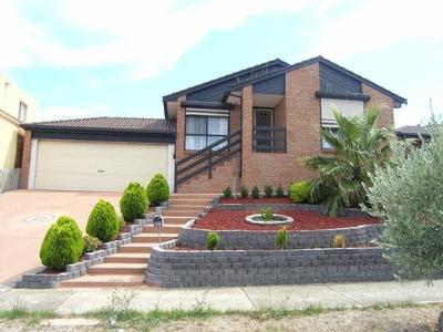 Nicely Elevated Picture Nicely Elevated Picture