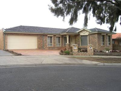 Walk to Everything Picture