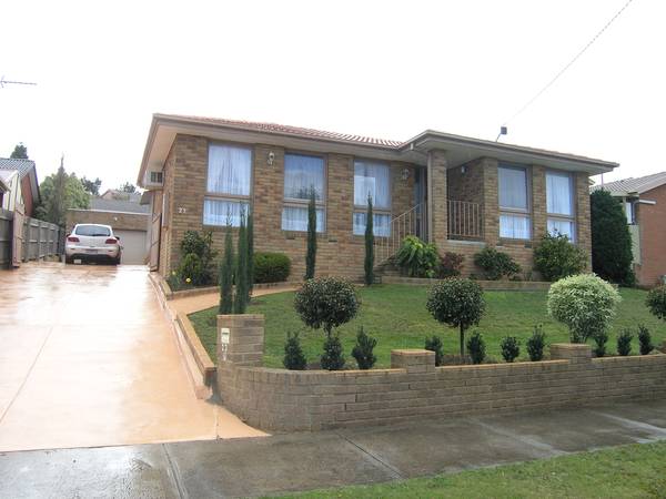 "Nicely Elevated" Picture 1