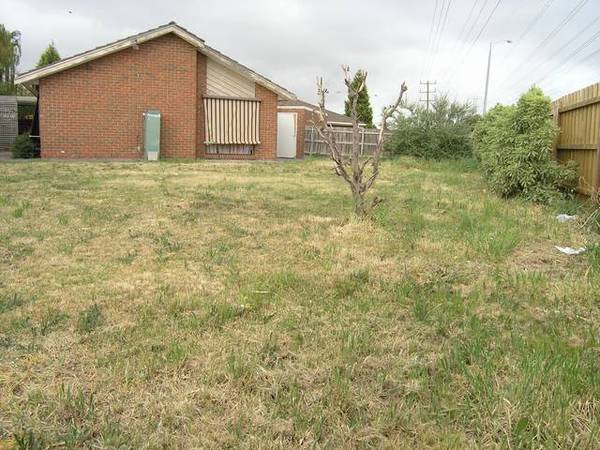 "Smart Choice" Picture 3