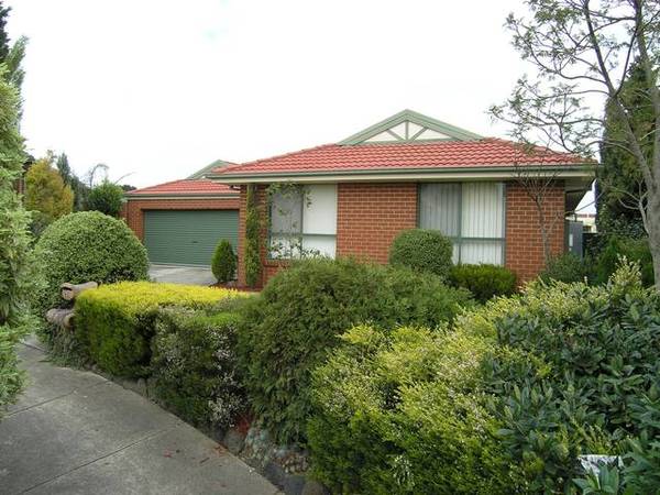 "Federation Flair" Picture 1