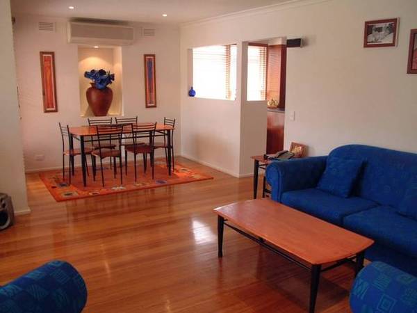 Modern and Trendy Picture 3