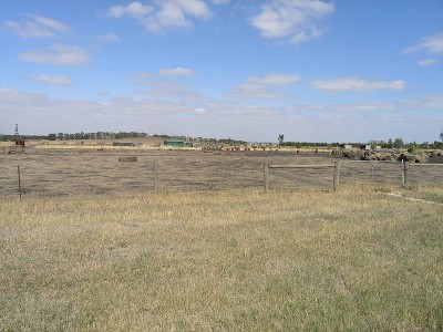 5 Acres Picture