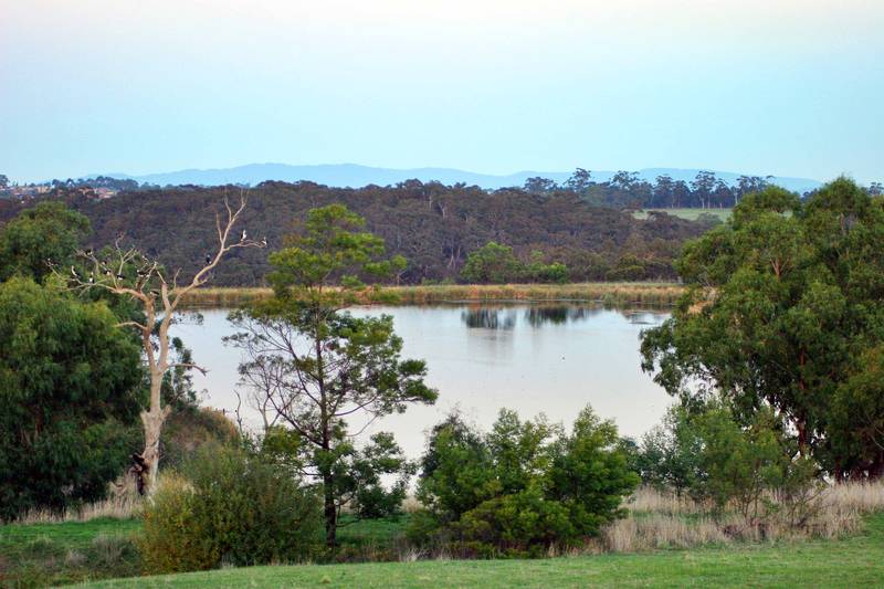 One of a kind Picture 2