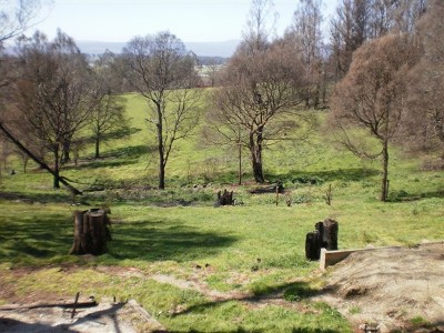 "1 ACRE- 2 TITLES" Picture