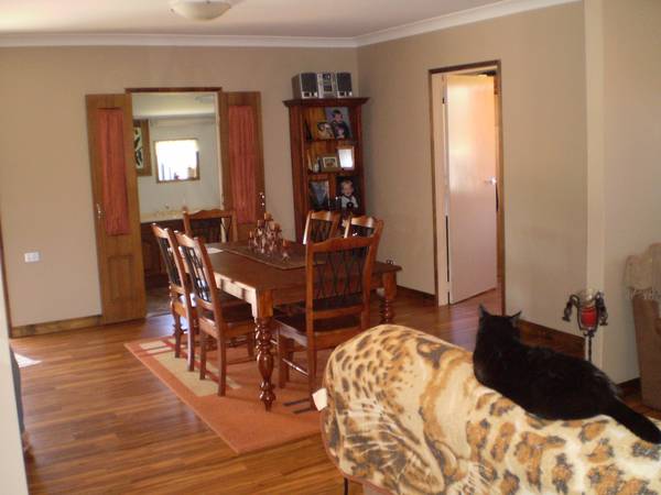 This is Paradise Picture 3