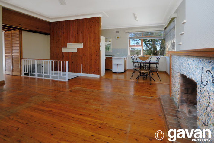 Huge Backyard Picture