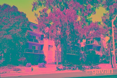 First home buyers or investor special Picture First home buyers or investor special Picture