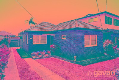 Potential in brick Picture