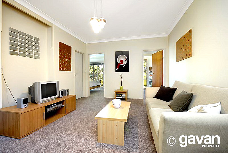 Affordable and Adorable Picture 1