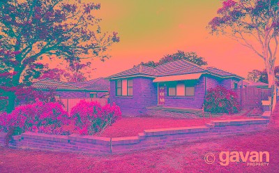 Potential plus Picture