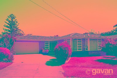 Spacious single storey home Picture