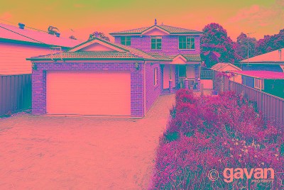 Spacious family home with park views Picture