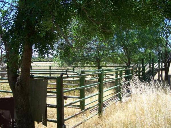 39 Acres
-
Echuca Village Picture 2