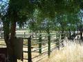 39 Acres
-
Echuca Village Picture