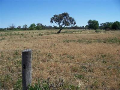 39 Acres
-
Echuca Village Picture