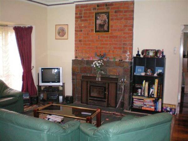 Great Starter Picture 3