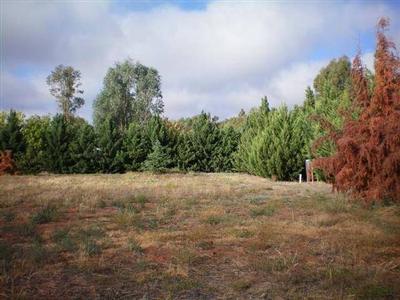 Private Established Allotment Picture Private Established Allotment Picture