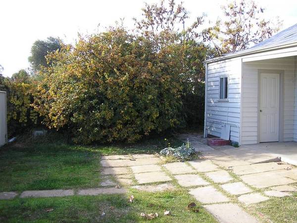 Cottage Living Picture 3