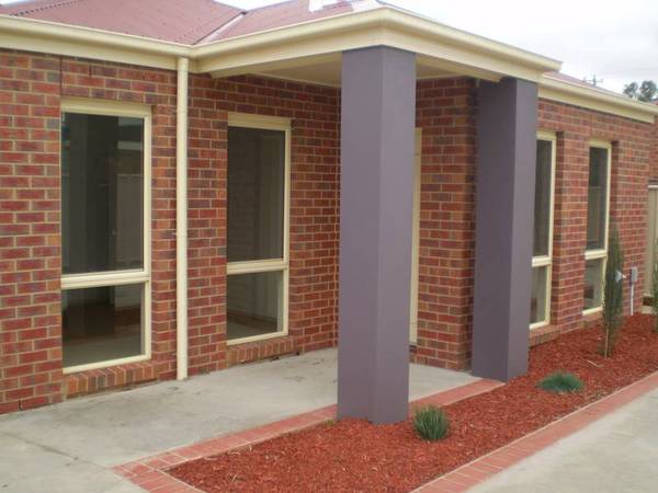 Brand New! Picture 1