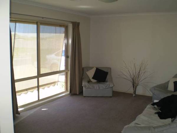 Great Outdoor Entertaining Area Picture 3