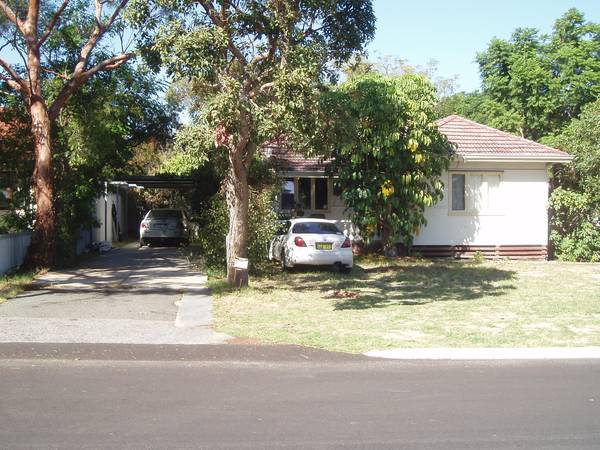 DONALD TRUMP... Picture 1