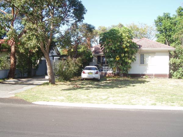 DONALD TRUMP... Picture 2