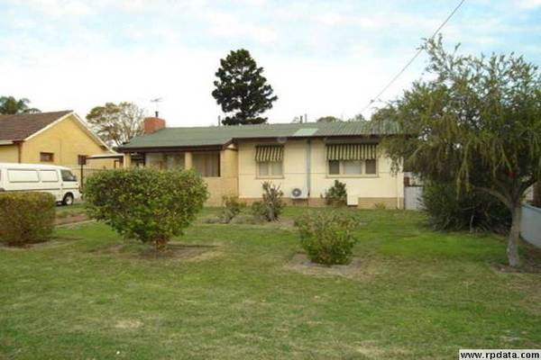 FORGET THE MONEY TREE... Picture 1