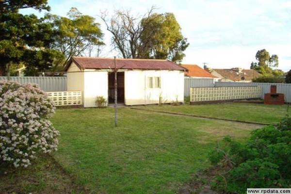 FORGET THE MONEY TREE... Picture 2