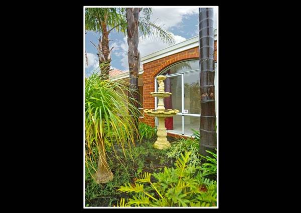 GREAT BUYING FOR BEGINNERS Picture 2