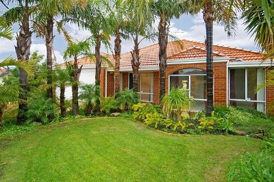 GREAT BUYING FOR BEGINNERS Picture GREAT BUYING FOR BEGINNERS Picture