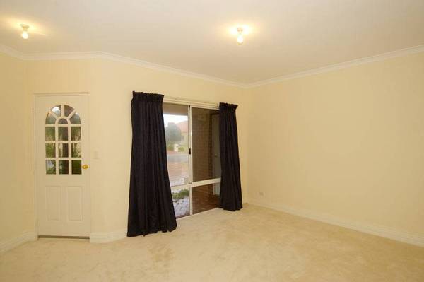 GREAT BUYING FOR BEGINNERS Picture 3