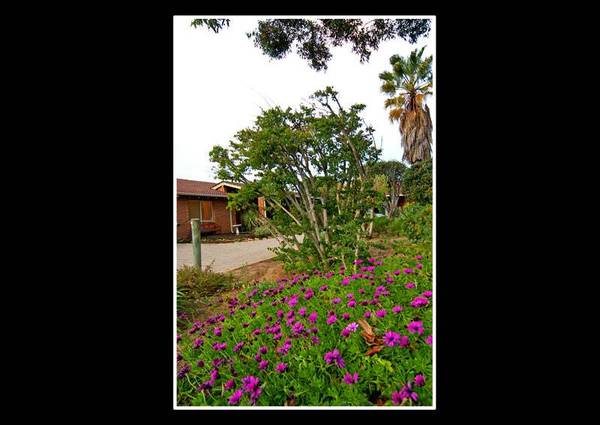 LIKE NEW!! Picture 3