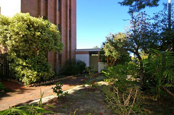 SAY GOODBYE... Picture 2