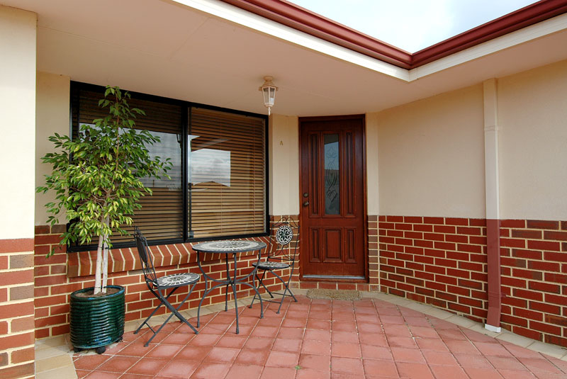 SEEYA LATER ALLIGATOR Picture 3