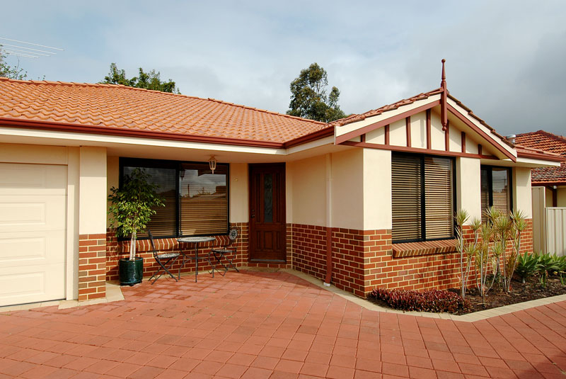 SEEYA LATER ALLIGATOR Picture 1