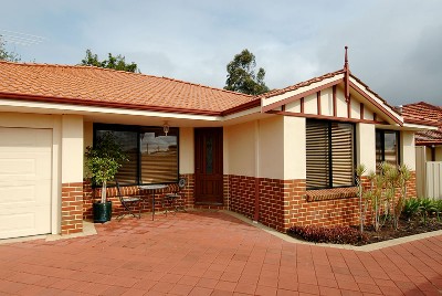 SEEYA LATER ALLIGATOR Picture