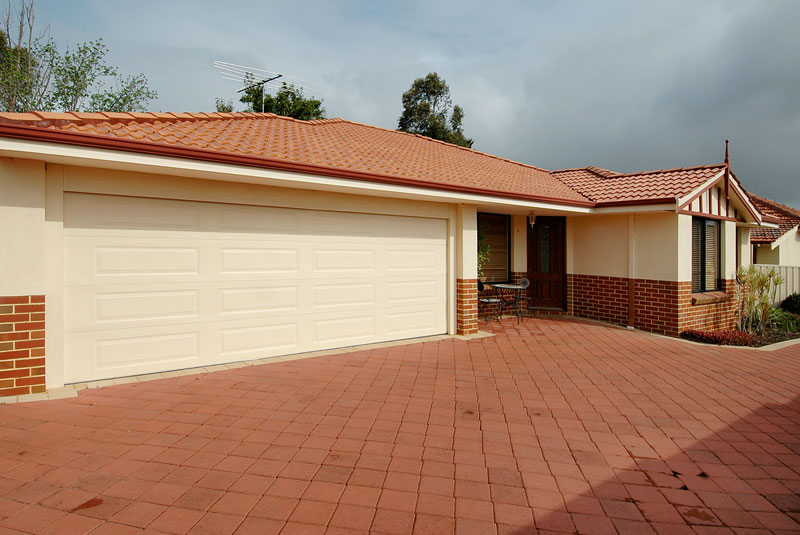 SEEYA LATER ALLIGATOR Picture 2