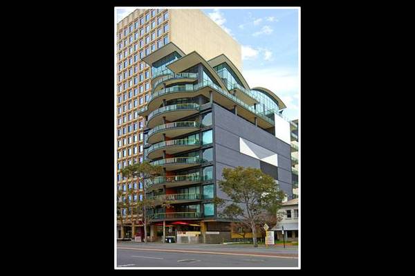 SHOW STOPPER!! Picture SHOW STOPPER!! Picture